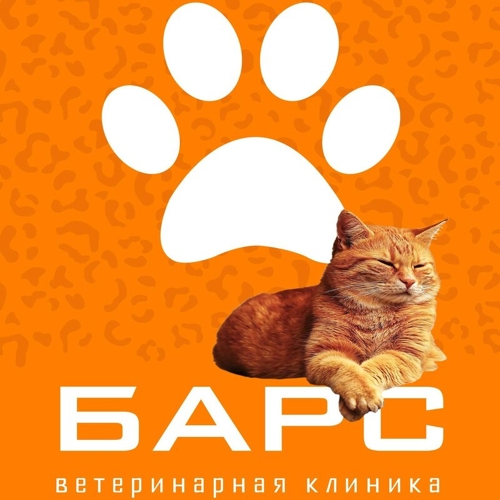 Барс тольятти 40 лет победы. Барс Тольятти. Михеев Александр клиника Барс Тольятти. Александр клиника Барс Тольятти. Ветеринарная клиника Барс Казань Космонавтов 44.